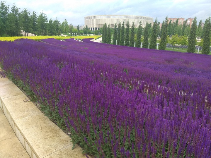 Krasnodar's Park