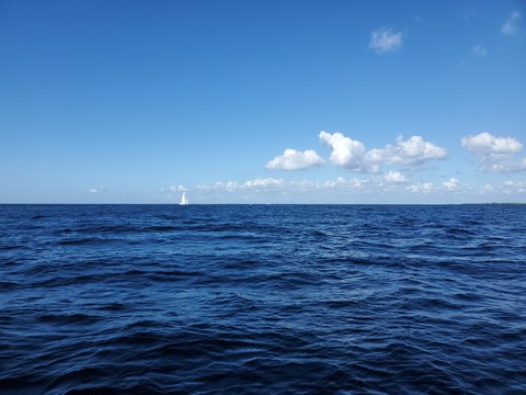 sailboat all alone