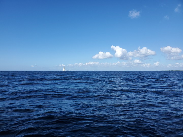 sailboat all alone
