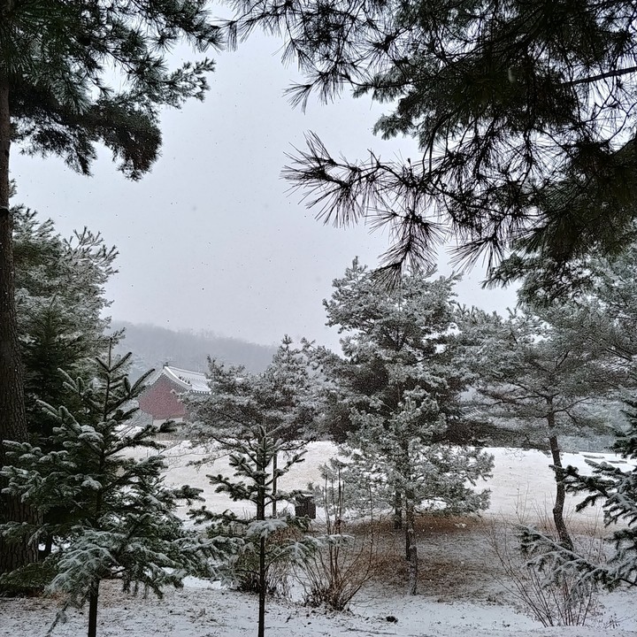 겨울,마지막 눈