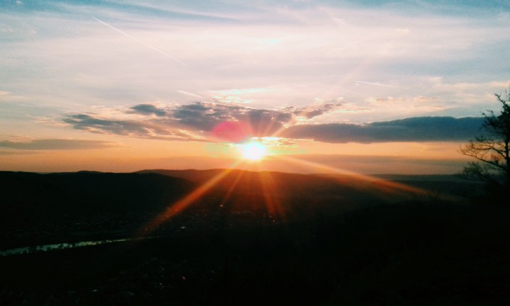 der rote schleier