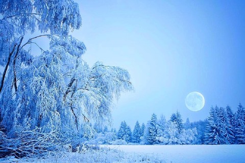 Winter