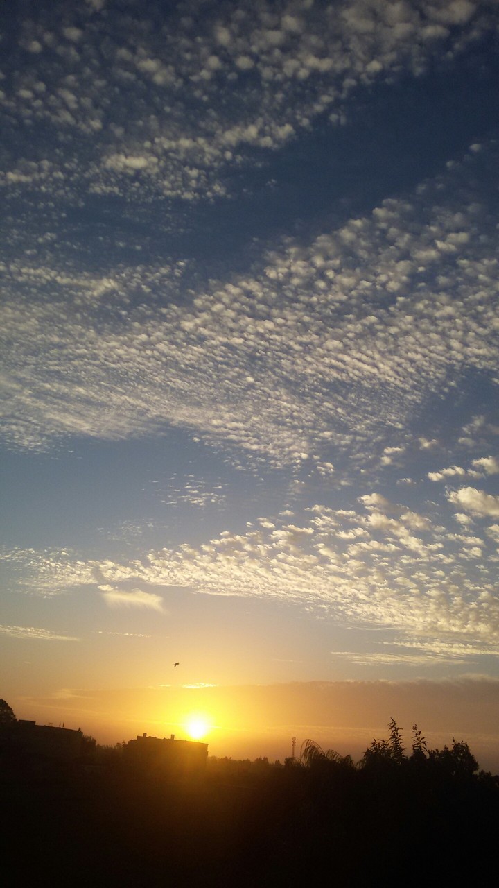 sun