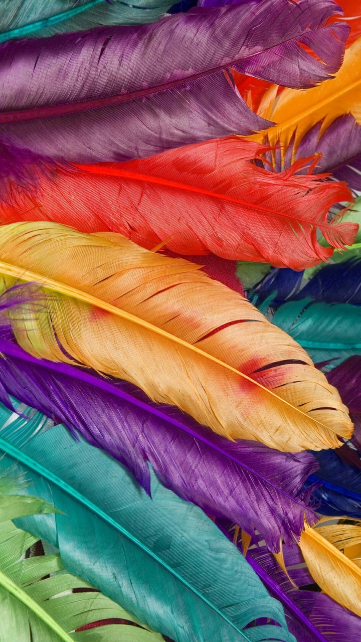color