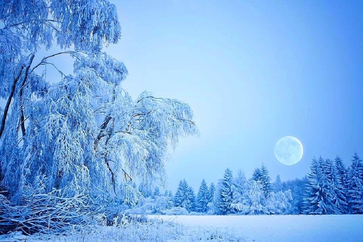 Winter