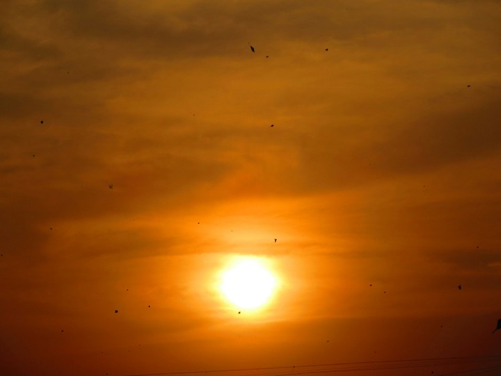 Beautiful Sunset