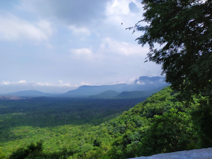 View Top