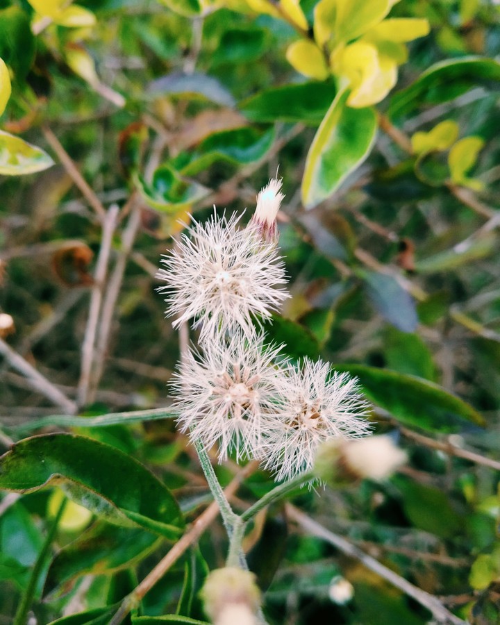 Transience
