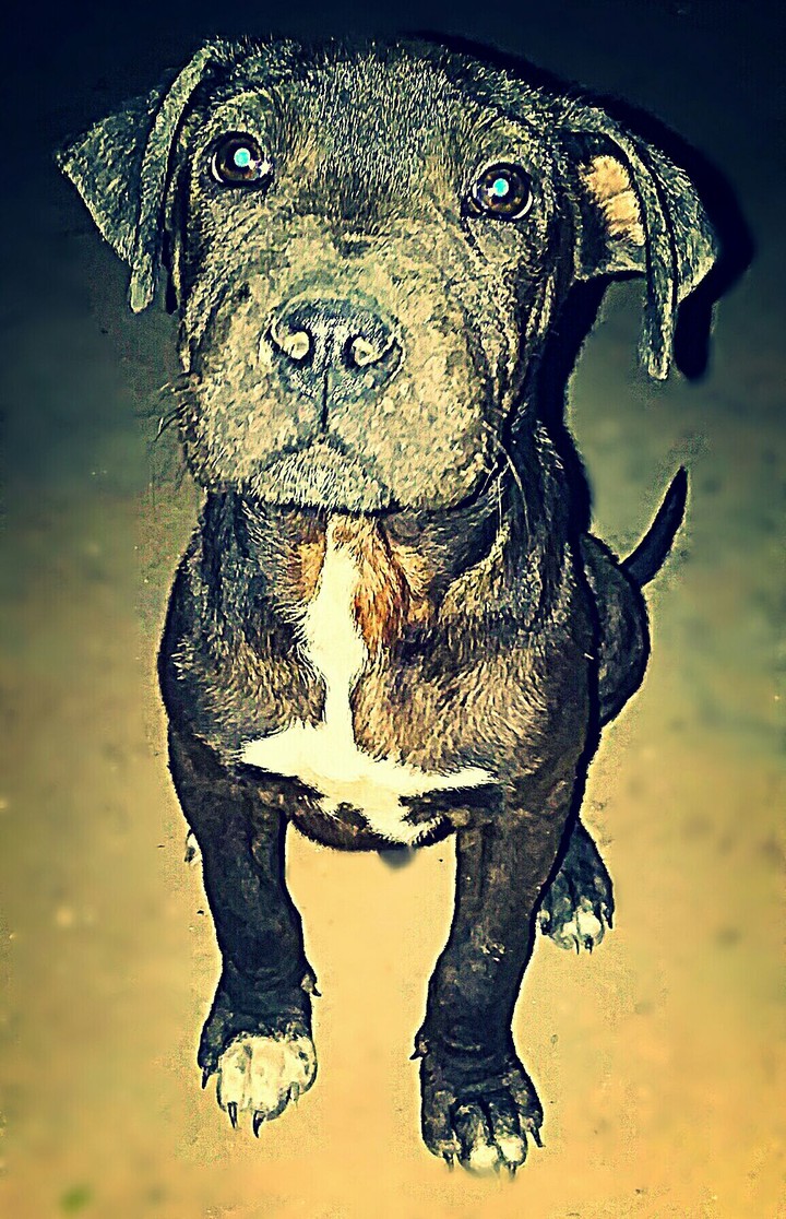 My Friend