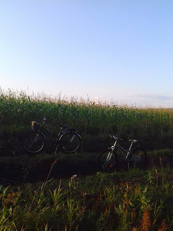 Bicycles