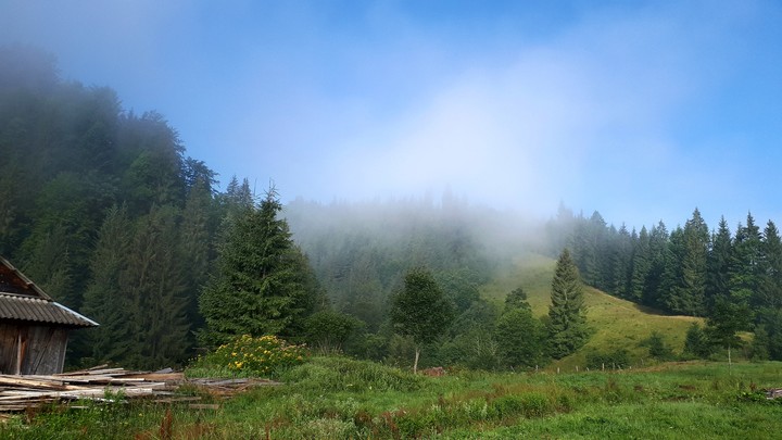 Карпаты