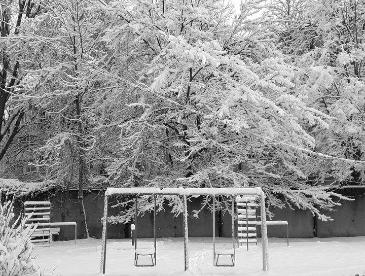 winter