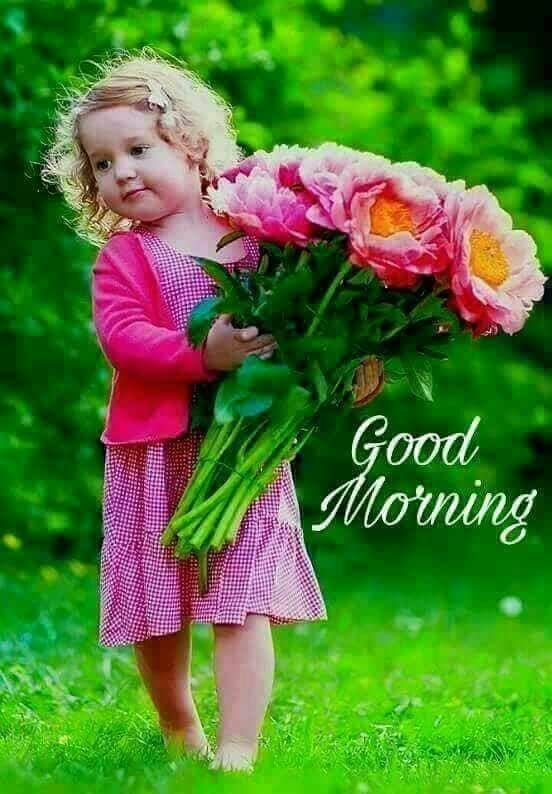 good morning