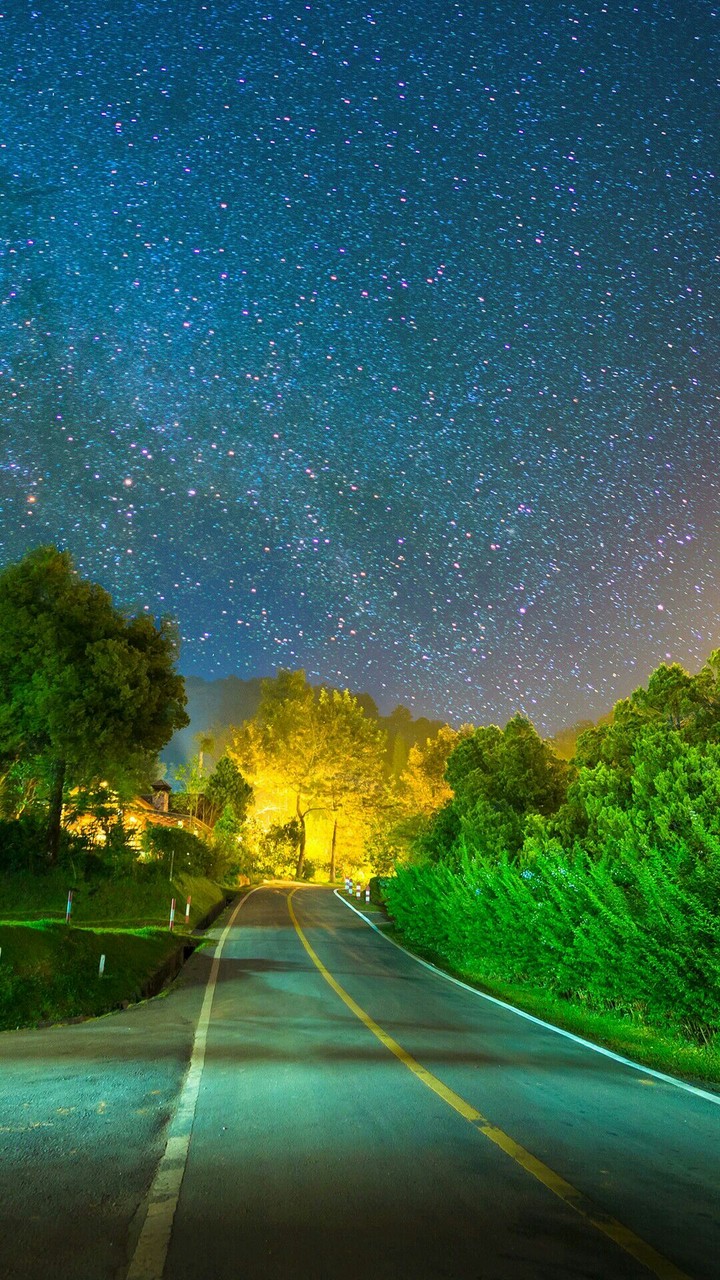 Roads and nature