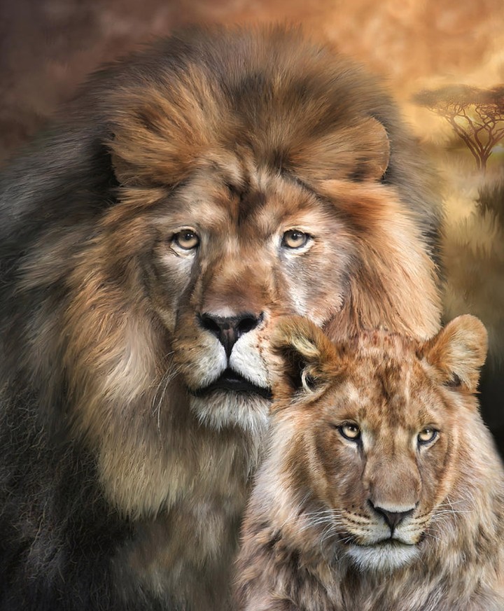 Lion