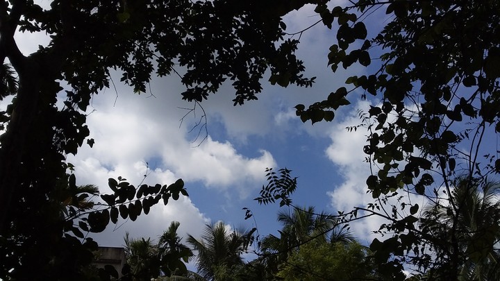 my capture