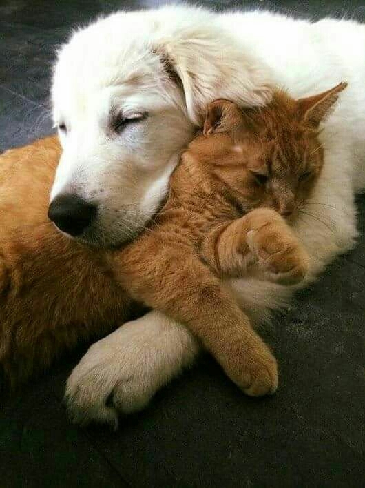 together