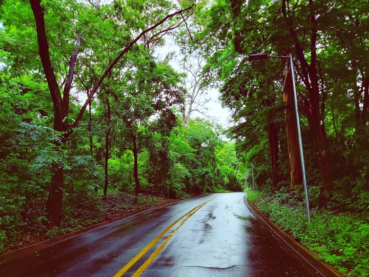 Rainy Day