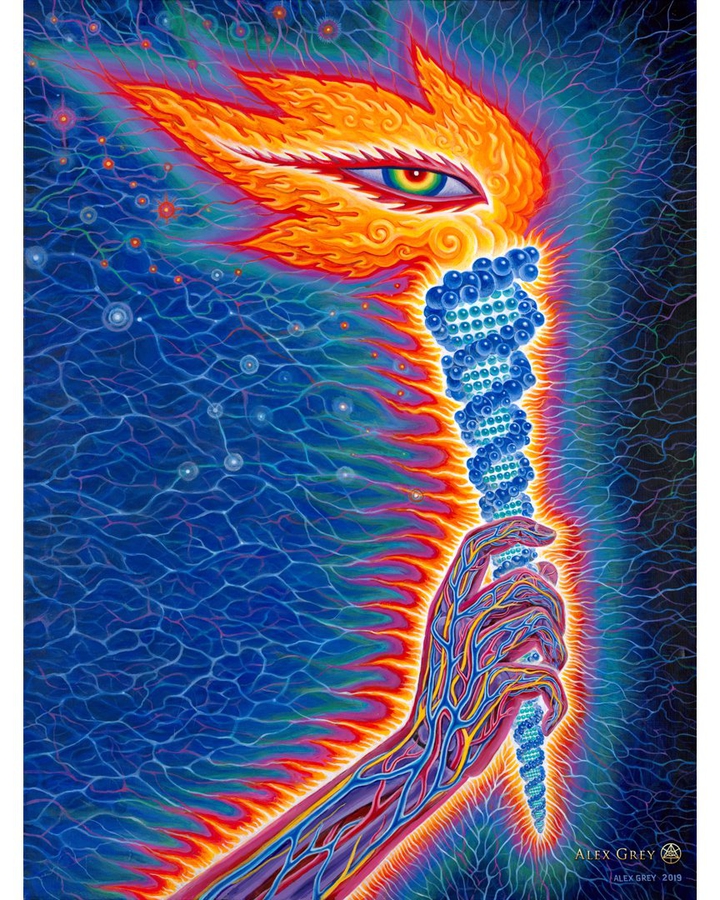 Alex grey