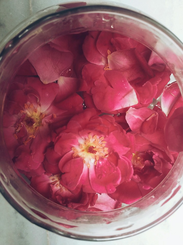 Roses in water