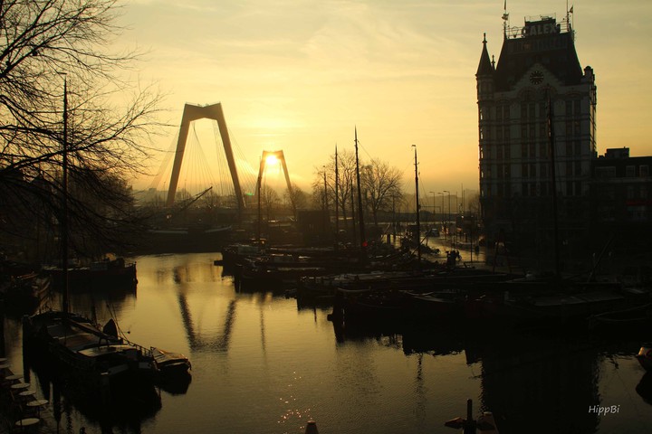 Rotterdam