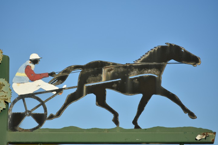 Polo Cart