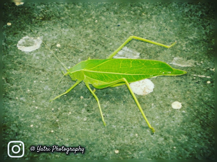 yatri Photography