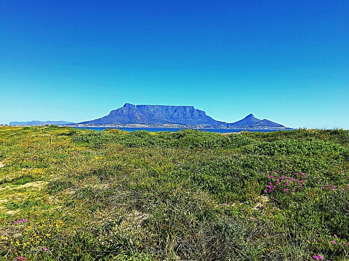 Table Mountain