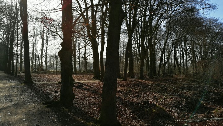 Park walking