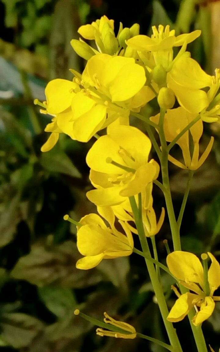 Color of Nature