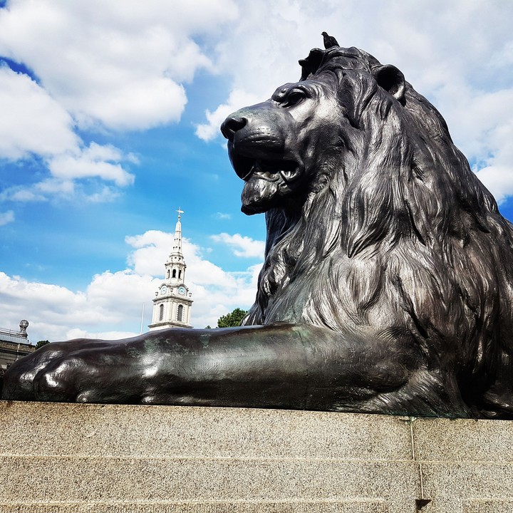 King of beasts