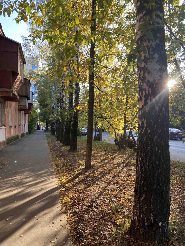 осень