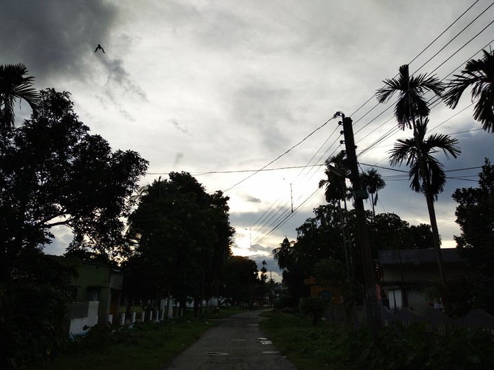 Evening