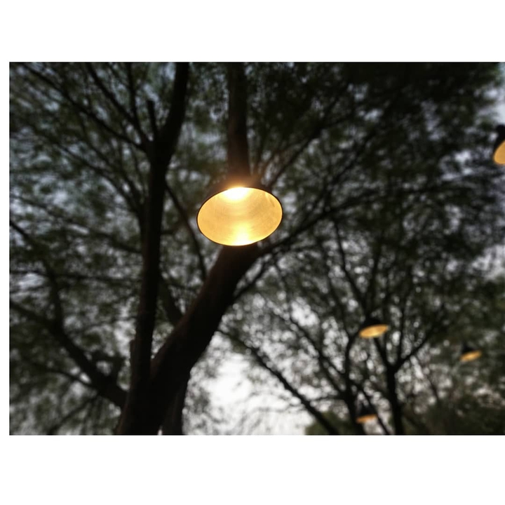 Light in the Dark
