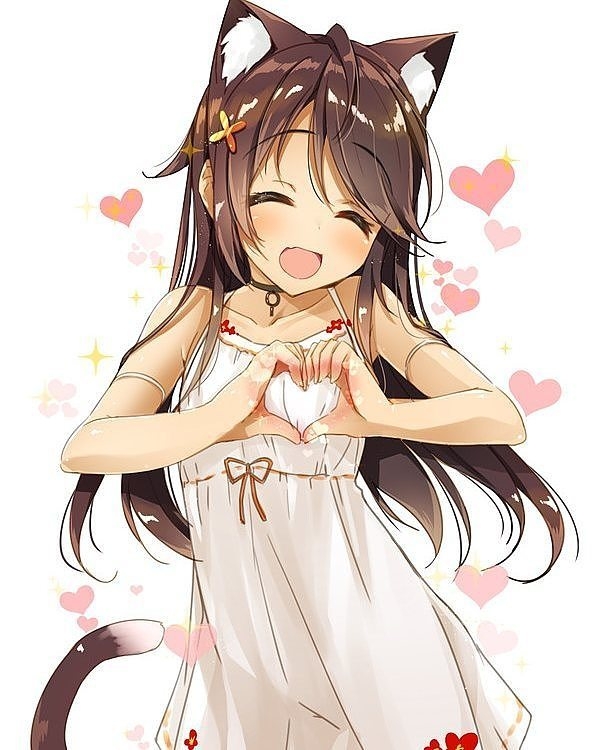 Anime Neko Girl