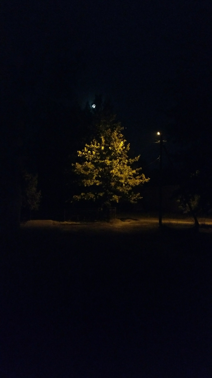 Дива нічного освітлення