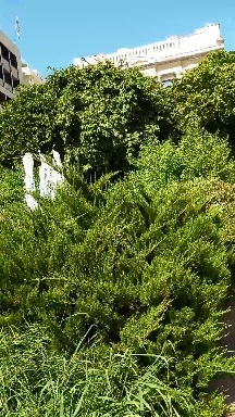 Athens Fountain