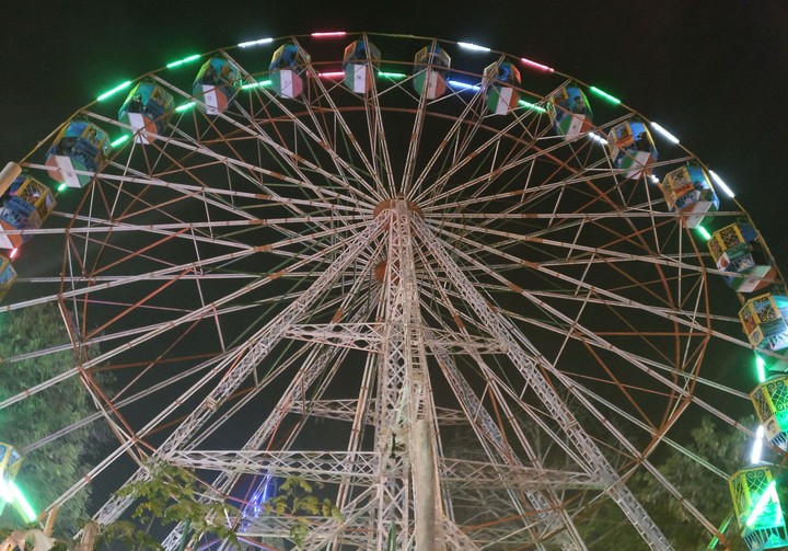 Night life