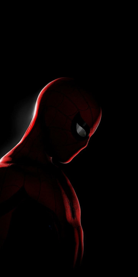 Spider Man