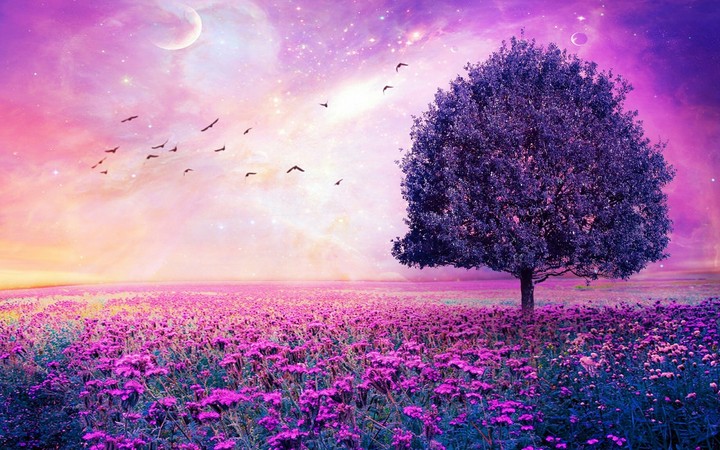 violet tree
