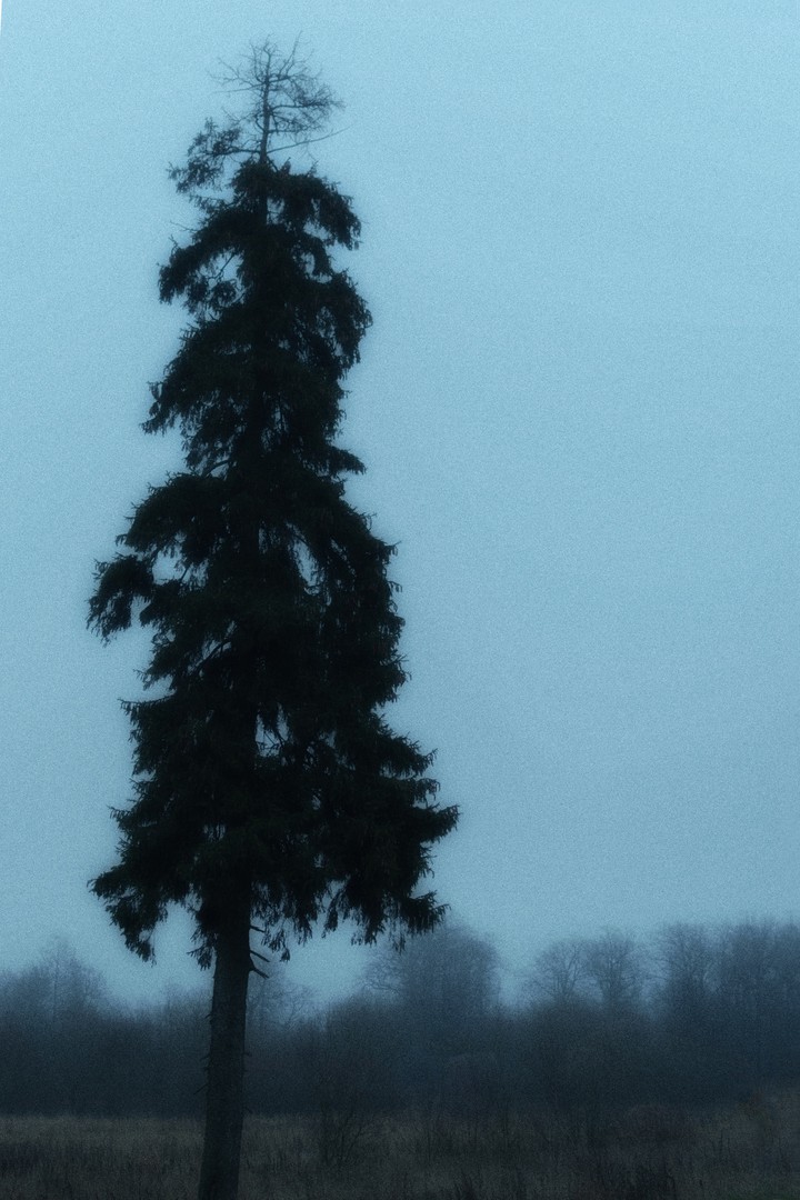 Loneliness