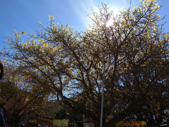sun day