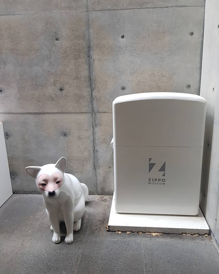 건축소녀 포토에세이