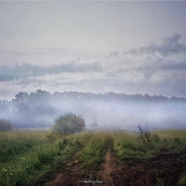 Foggy morning