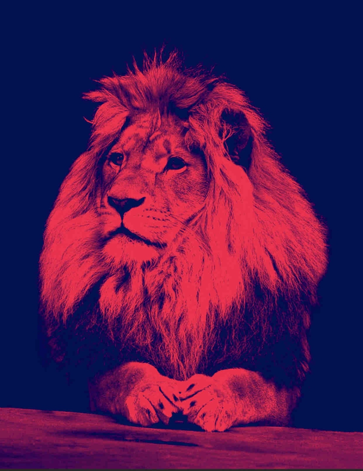 LiON HDR