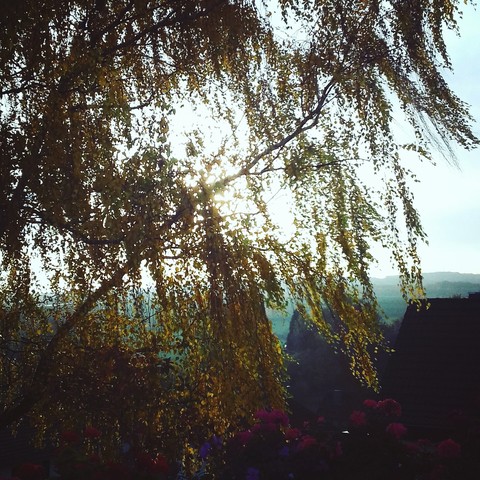 Herbst