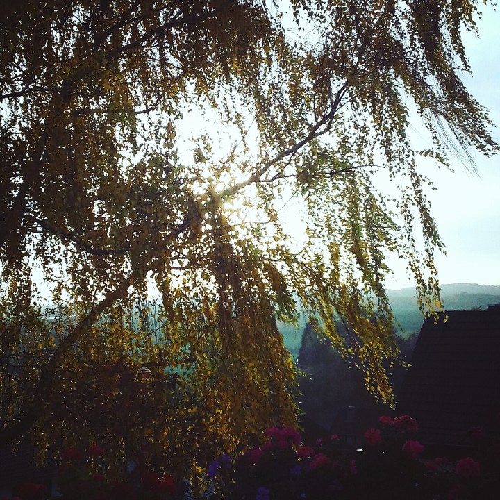 Herbst
