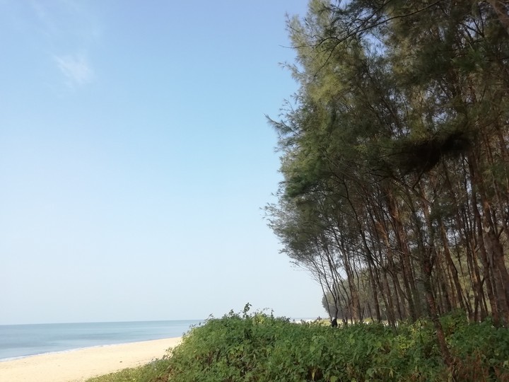 @thebeach @kerala