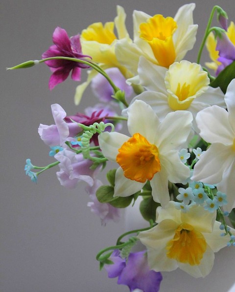 narcissus