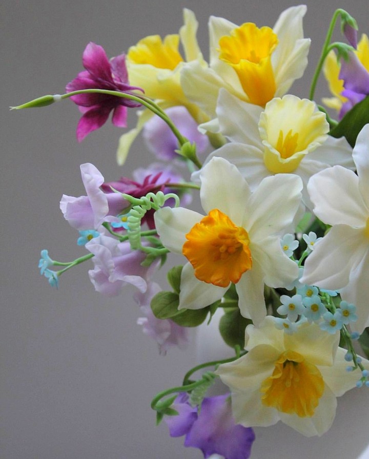 narcissus